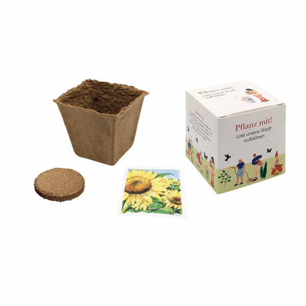 Würfel Samenpflanzset (groß)