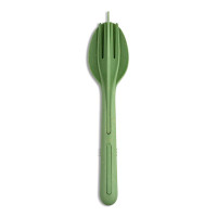 nature leaf green