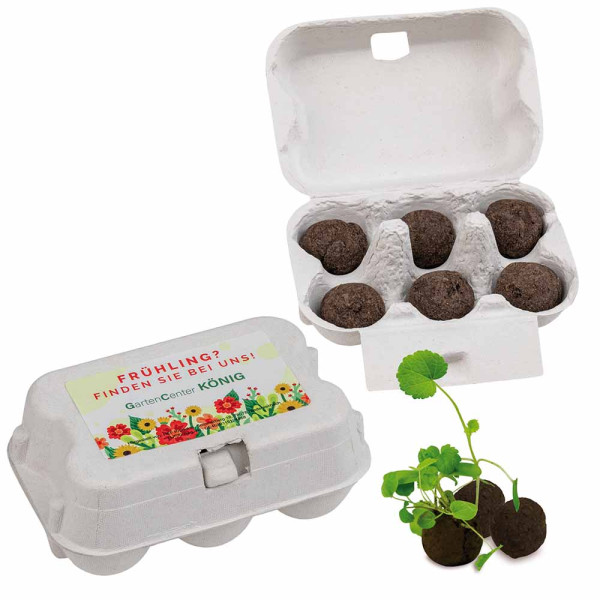 Sixpack - Flower-Balls Midi mit Samen