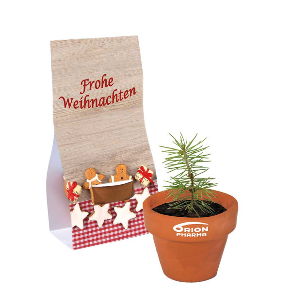 Logo-Töpfchen Überreichverpackung mit Samen