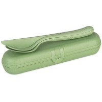 nature leaf green