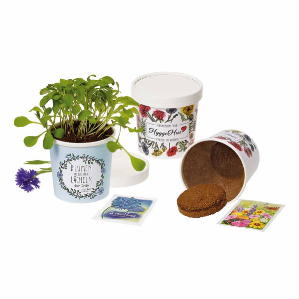 Becher Blümchen - Samenset