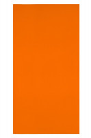 Neon-orange (ca. Pantone 1505C)