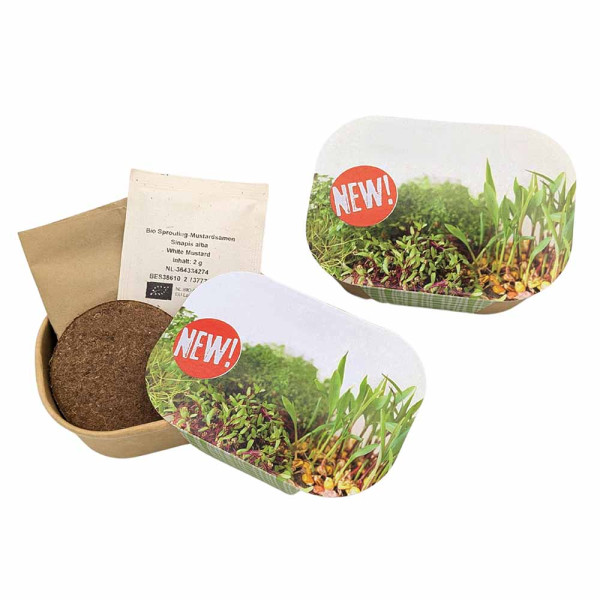 Microgreen Samen Pflanzset (klein)