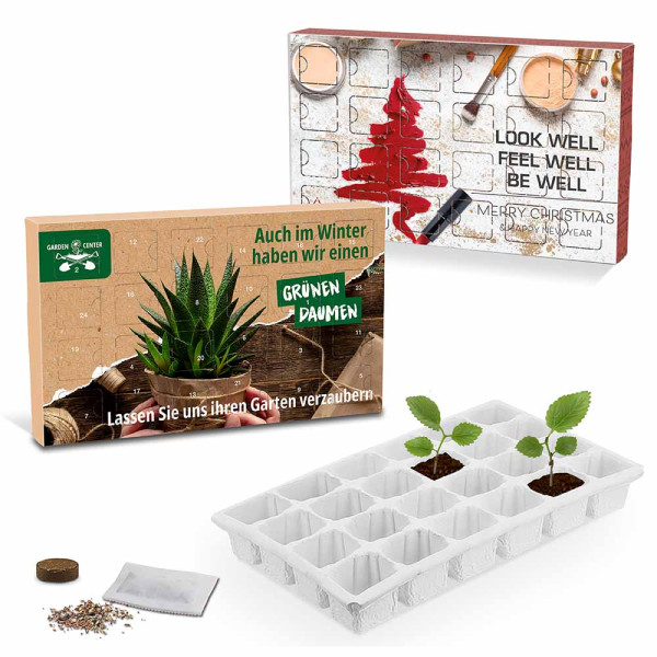 Wachsender Adventskalender