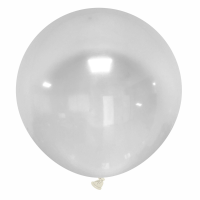 Transparent (38)
