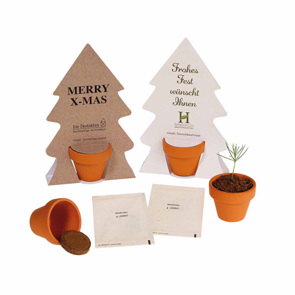 Tiny Tree - Samenset