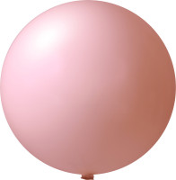 4431 Rosa