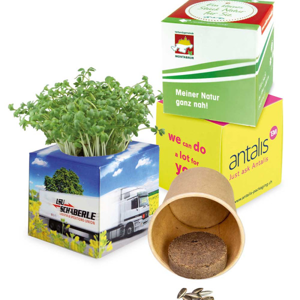 Pflanz-Würfel 2.0 mit Samen