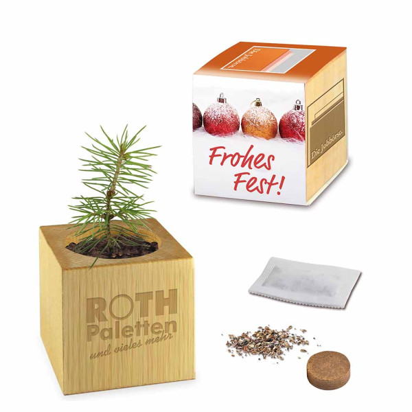 Pflanz-Holz Maxi Xmas mit Fichtensamen